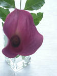DSCN1041.JPG