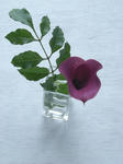 DSCN1042.JPG