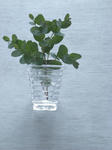DSCN1046.JPG