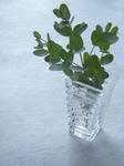 DSCN1048.JPG