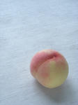 DSCN1050.JPG