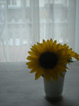 DSCN0850.JPG