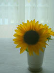 DSCN0850-1.JPG
