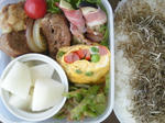 obentou_20090901.JPG