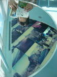 DSCN1264.JPG