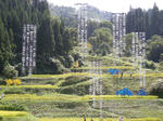 DSCN1269.JPG