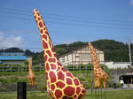 DSCN1276.JPG