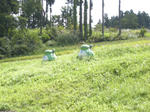 DSCN1260.JPG