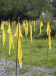 DSCN1282.JPG