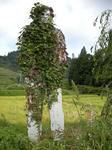 DSCN1297.JPG