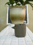 DSCN1361.JPG