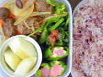 obentou20091021.JPG