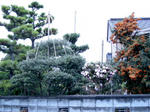 DSCN1580.JPG