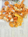 DSCN1715.JPG