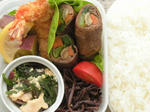 obentou20100216.JPG