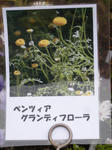 DSCN2062.JPG