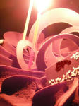 2010052402.JPG