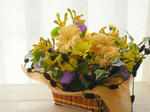 DSCN2528.JPG