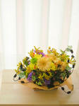 DSCN2530.JPG