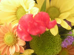 DSCN2534.JPG