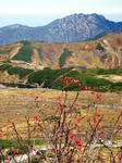 DSCN2458.JPG