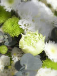 DSCN2821.JPG