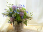 DSCN2912.JPG