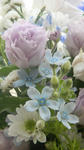 s-DSCN0002.jpg