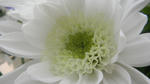 s-DSCN0003.jpg