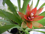 DSCN0183.JPG