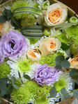DSCN0297.JPG