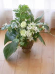 DSCN0406.JPG