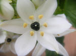 DSCN0409.JPG