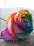 DSCN0448.JPG