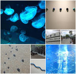201205.jpg