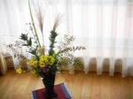 DSCN0621.JPG