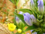 DSCN0629.JPG