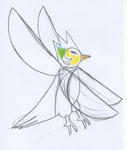 Birdラフ