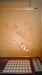 200803221324000.jpg
