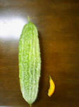 200808261217000.jpg