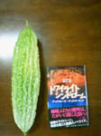 200808261217001.jpg