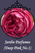 Jardin Parfumee (Deep Pink No.1)