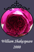 William Shakespeare 2000