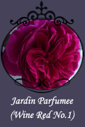 Jardin Parfumee (Wine Red No.1)
