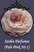 Jardin Parfumee (Pale Pink No.1)