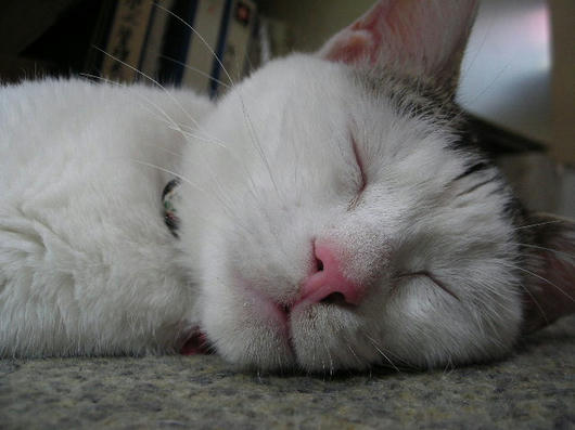 DSCN4197.JPG