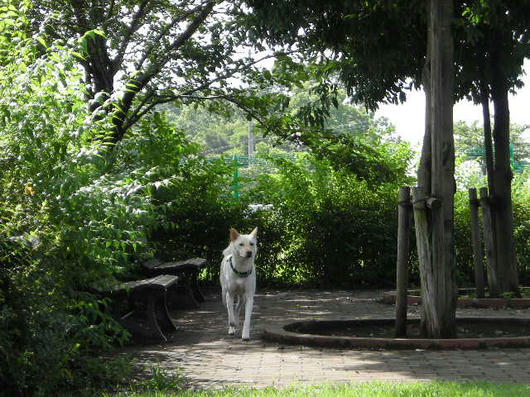 DSCN4326.JPG
