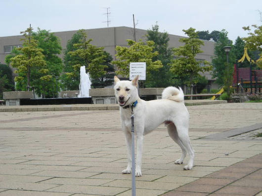 DSCN4448.JPG