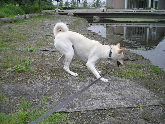 DSCN4429.JPG