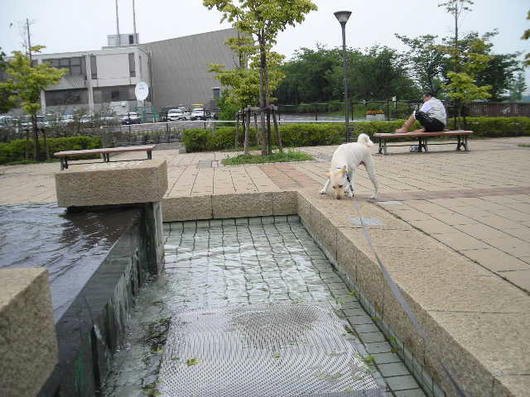 DSCN4421.JPG